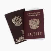 Обложка для паспорта, натуральная кожа, коричневая