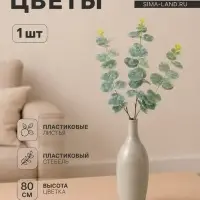 Цветы искусственные &laquo;Эвкалипт шёлковый&raquo;, h=80 см, зелёные