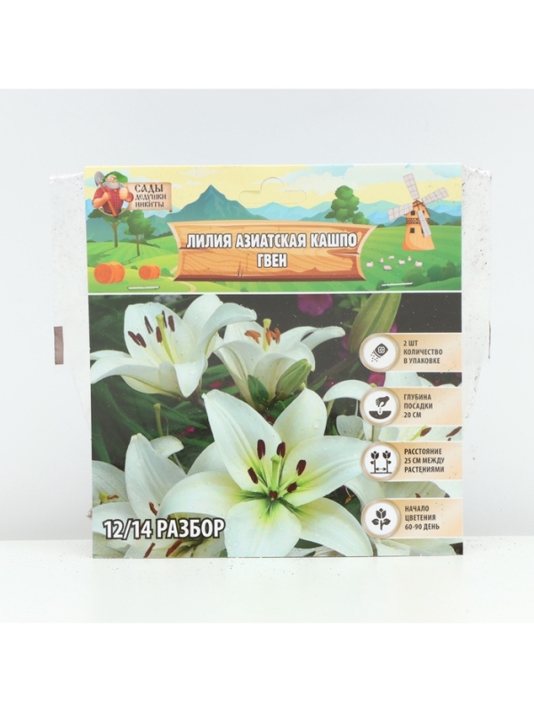 Лилия Азиатская Кашпо Gwen, луковица в пакете с перфорацией, р-р 12/14, 2 шт.
