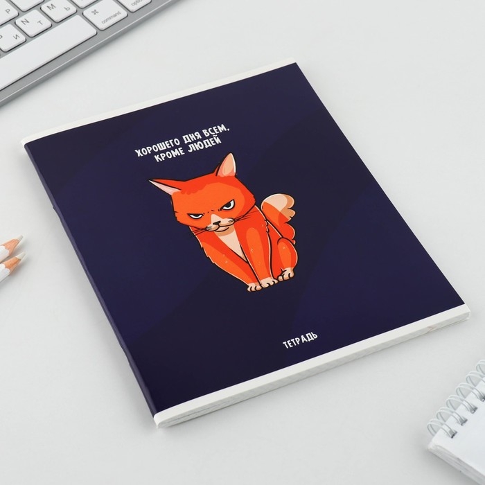 Тетрадь в клетку, 48 листов А5 на скрепке МИКС «1 сентября: Котики», обложка мелованный картон 230 гр внутренний блок №1, белизна 96% Тетрадь в клетку, 48 листов А5 на скрепке МИКС «1 сентября: Котики», обложка мелованный картон 230 гр внутренний блок №1, белизна 96%