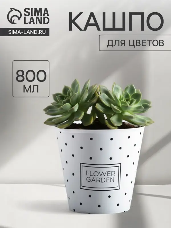 Кашпо для цветов Flower garden, 800 мл, d=11 см, h=12 см, пластиковое