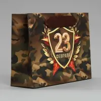 Пакет подарочный ламинированный, упаковка, «С 23 февраля», S 15 х 12 х 5.5 см
