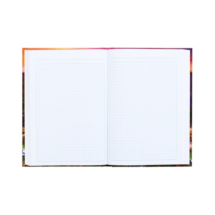 Колледж-тетрадь в твердой обложке 7БЦ, А5, 120 листов, Времена года. Лето, блок в клетку, глянцевая ламинация