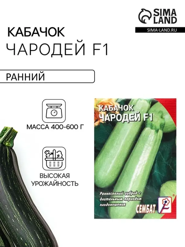 Семена Кабачок &laquo;Чародей&raquo;, F1, 1 г, &laquo;Сембат&raquo;