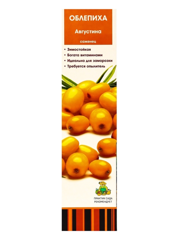 Облепиха Облепиха "Августина", туба, 1 шт, Весна 2025