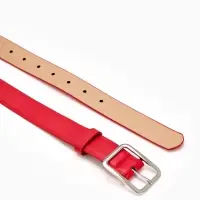 Ремень женский Classic, 110&times;3 см, пряжка металл, серебристая, красный