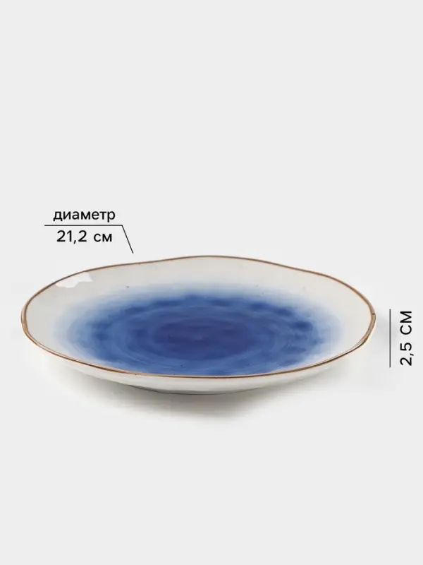 Тарелка Доляна &laquo;Космос&raquo;, d=21.2 см, фарфор, белая, синяя