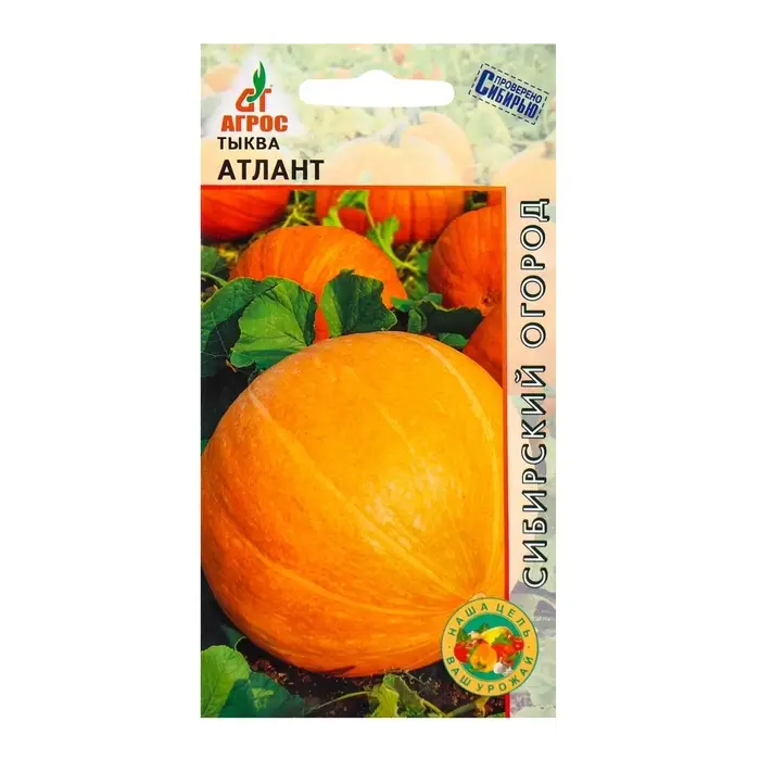 Семена Тыква Семена Тыква"Атлант" 3шт*