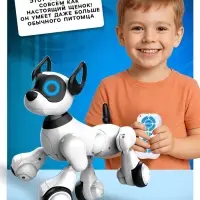 Робот собака Koddy IQ BOT, на пульте управления, интерактивный: звук, свет, танцующий, музыкальный, на аккумуляторе