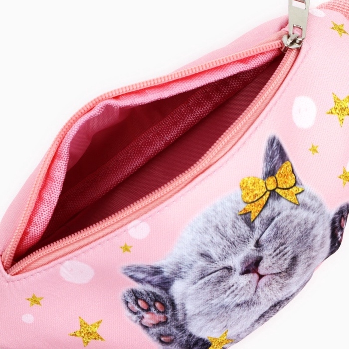 Сумка поясная детская «Миленький котик», 20 х 10 х 6 см Сумка поясная детская «Миленький котик», 20 х 10 х 6 см