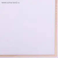 Плёнка для цветов, 57×57 см Плёнка для цветов, 57×57 см