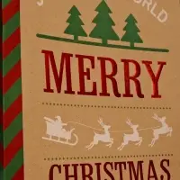 Набор подарочных пакетов «Новогодний», 3 шт, 25×4×30.5 см, 30×40×11,5 см, 18×23×10 см Набор подарочных пакетов «Новогодний», 3 шт, 25×4×30.5 см, 30×40×11,5 см, 18×23×10 см