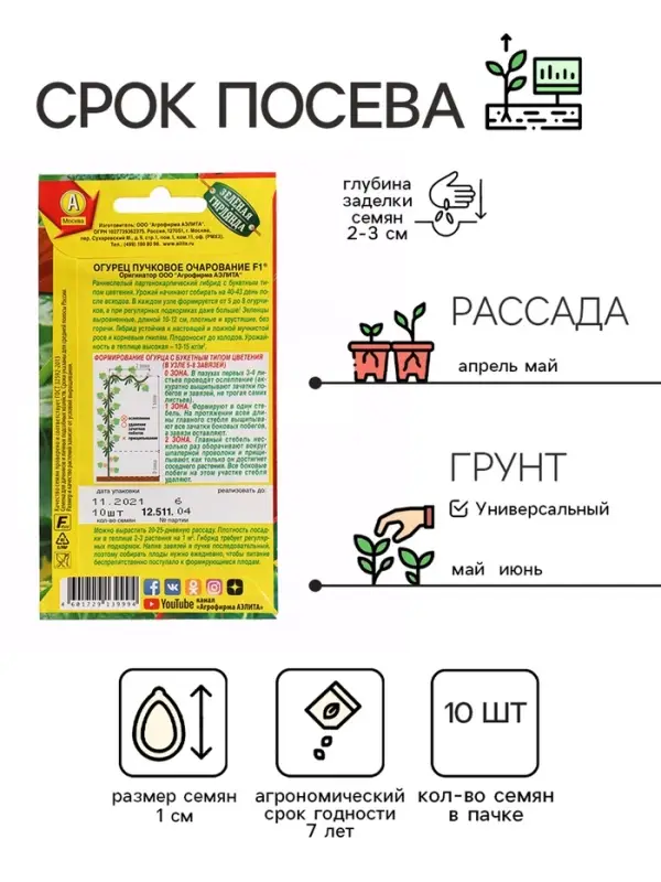 Семена Огурец  Семена Огурец "Пучковое очарование", F1, ц/п, 10 шт