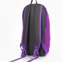Рюкзак спортивный TEXTURA, на молнии, с карманом, размер 20&times;11&times;39 см, фиолетовый
