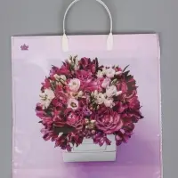 Пакет подарочный Лиловый букетик 35 х 36 см 85 мкм