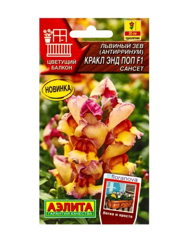 Семена цветов Львиный зев Кракл энд поп F1 сансет  С. Floranova Цветущий балкон, Ц/П,7 шт.