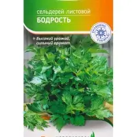 Семена Сельдерей "Бодрость" 1 г
