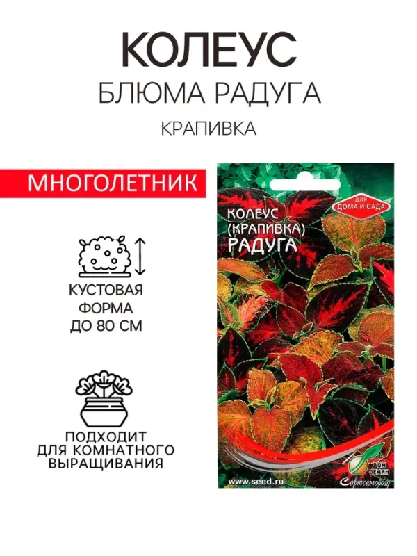 Семена комнатных цветов Колеус  Семена комнатных цветов Колеус "Блюма Радуга", 130 шт.