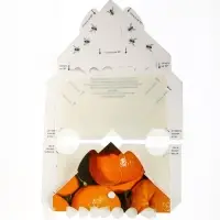 Клеевая ловушка Nadzor, от мух, уголок, 2 шт.