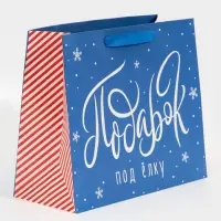 Пакет подарочный новогодний ламинированный &laquo;Подарок под елку&raquo;, ML 27 х 23 х 11.5 см