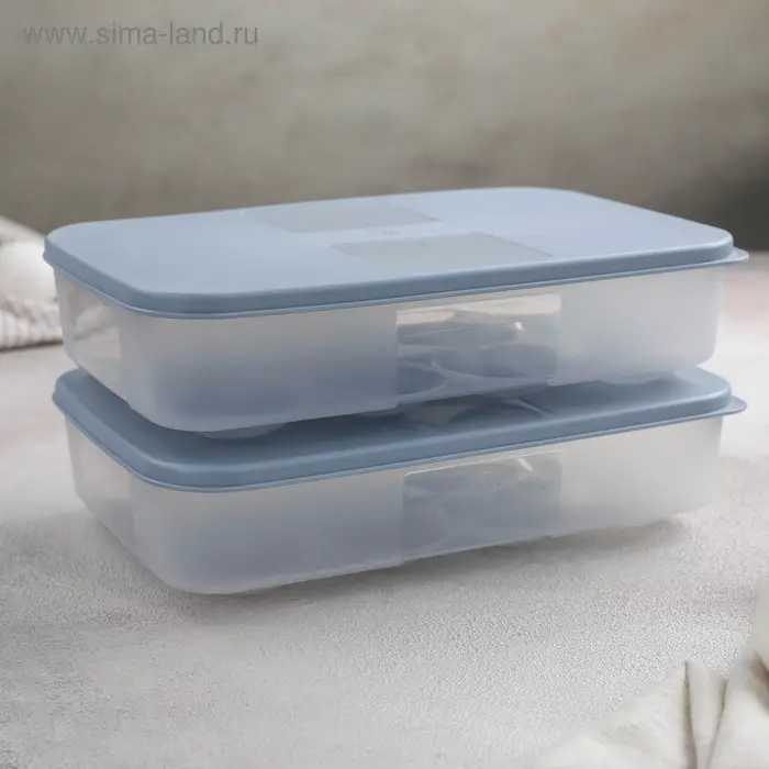 Набор контейнеров для яиц, 2 шт, 22,5×15×7,5 см, цвет МИКС Набор контейнеров для яиц, 2 шт, 22,5×15×7,5 см, цвет МИКС