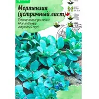 Семена цветов Мертензия (Устричный лист) &laquo;Сильвер Оушен&raquo; 5 шт.