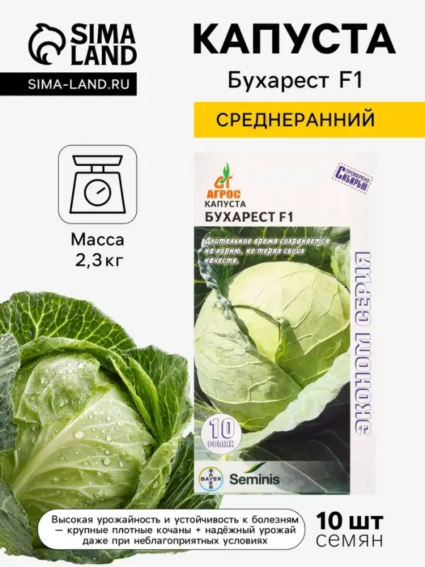 Семена Капуста &laquo;Бухарест&raquo;, F1, 10 шт., &laquo;Агросс&raquo;