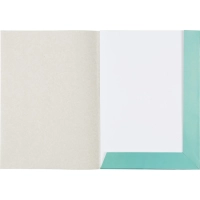 Папка для черчения Комус Класс без рамки 10лист А3 160 г/м2