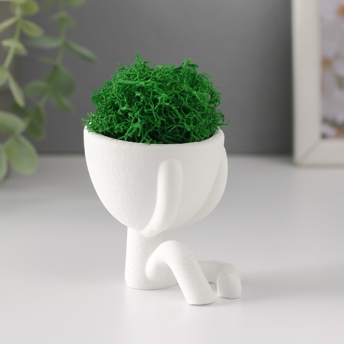 Стабилизированный мох в кашпо из бетона «Мистер Грин Мидзару», мини, 5.5×6.5×6.5 см, белый Стабилизированный мох в кашпо из бетона «Мистер Грин Мидзару», мини, 5.5×6.5×6.5 см, белый
