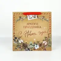 Набор новогодних пакетов &laquo;Верь в чудеса&raquo;