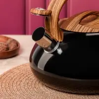 VETTA Чайник стальной 2,8л "Лоренцо", индукция