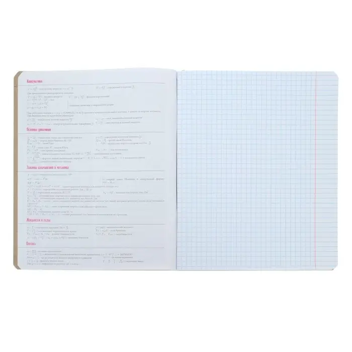 Тетрадь предметная Hashtags, 48 листов в клетку &laquo;Физика&raquo; со справочным материалом, блок 65 г/м2