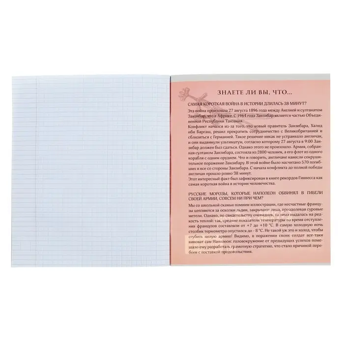 Тетрадь предметная 36 листов в клетку Calligrata &laquo;Пиксели. История&raquo;, обложка мелованный картон