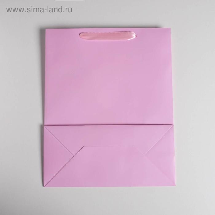 Пакет подарочный, упаковка, «Розовый», 26 х 32 х 12 см Пакет подарочный, упаковка, «Розовый», 26 х 32 х 12 см