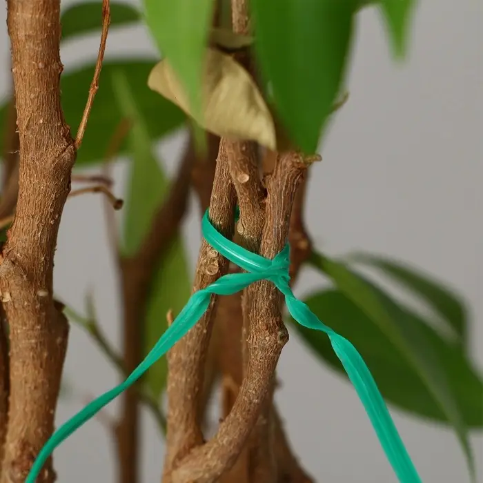 Проволока подвязочная, 20 см, в наборе 100 шт., зелёная, Greengo