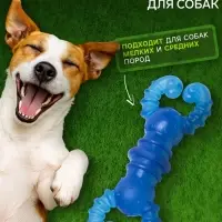 Жевательная игрушка для собак &laquo;Краб&raquo;, прозрачная, 12 см, TPR, голубая