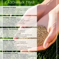 Газонная травосмесь &laquo;Детский&raquo; 1 кг