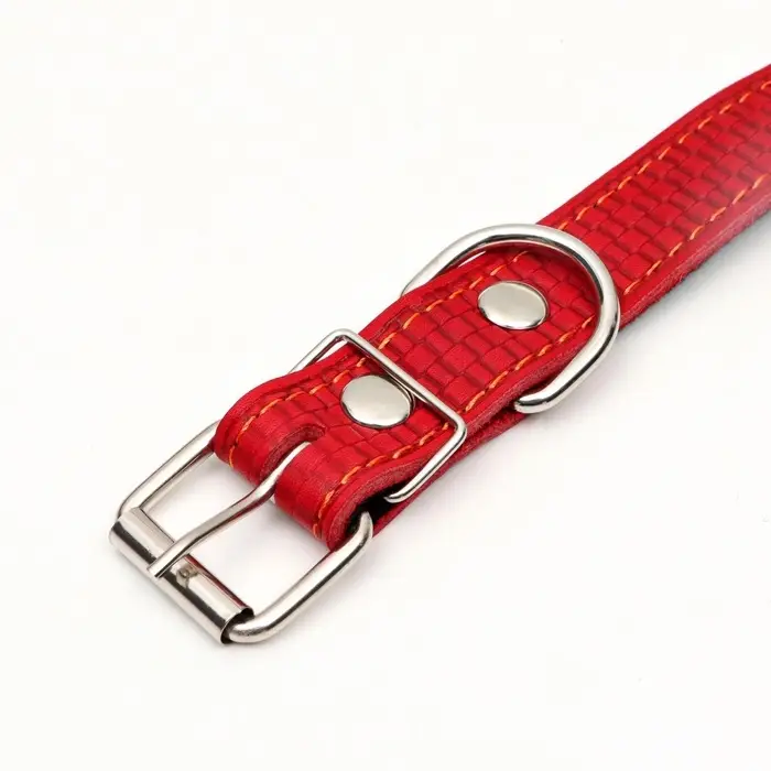Ошейник кожаный с тиснением на синтепоне, 65&times;3 см, ОШ 40-55 см, красный