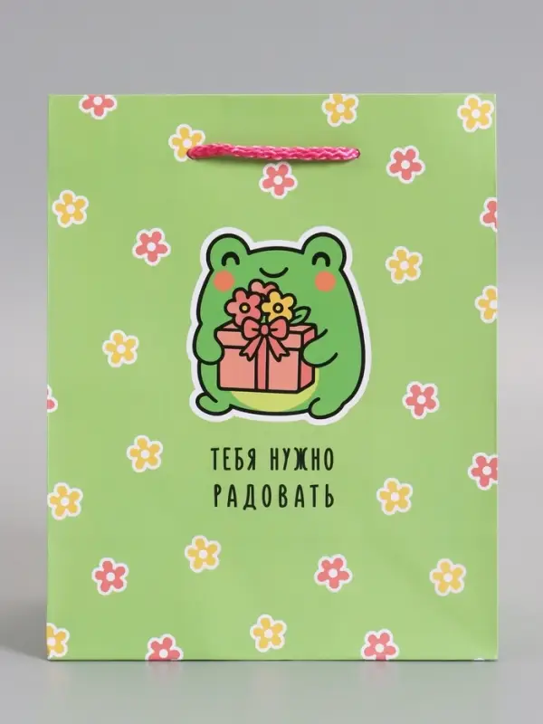Пакет подарочный ламинированный &laquo;Радовать&raquo;, 18&times;22.3&times;10 см