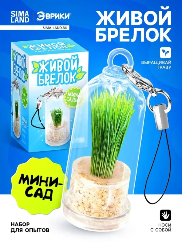Набор для опыта &laquo;Живой брелок&raquo;, мини-сад, выращивание травы