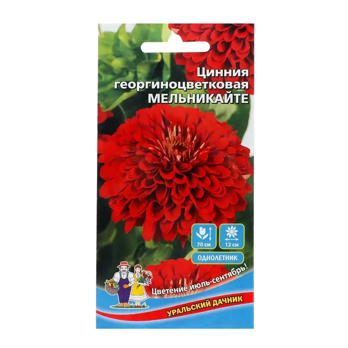 Семена Цветов Цинния георгиноцветковая  Семена Цветов Цинния георгиноцветковая "Мельникайте"   ,0 ,2 г  ,