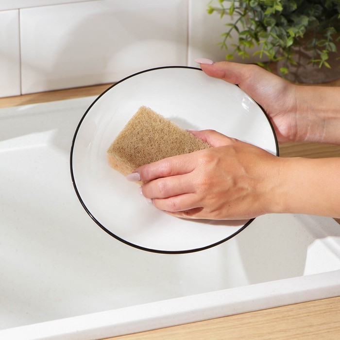 Набор губок для мытья посуды Raccoon «Ренессанс», 2 шт, 9×6,5×3,5 см, крупнопористый поролон, бежевый Набор губок для мытья посуды Raccoon «Ренессанс», 2 шт, 9×6,5×3,5 см, крупнопористый поролон, бежевый