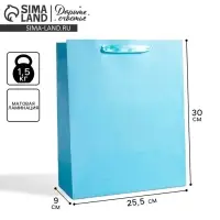 Пакет подарочный, упаковка, &laquo;Голубой&raquo;, M 25.5&times;30&times;9 см