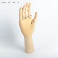 Модель деревянная художественная Манекен &laquo;Рука мужская правая&raquo; 31 см