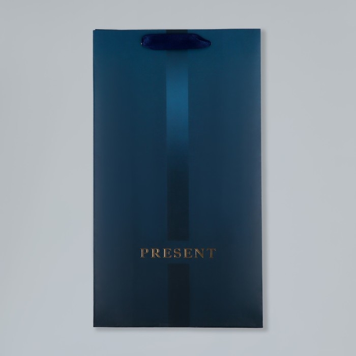 Пакет подарочный под две бутылки, упаковка, «Present», 35 х 20 х 9 см Пакет подарочный под две бутылки, упаковка, «Present», 35 х 20 х 9 см