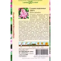 Семена цветов Сальвия Лира* 4 шт.