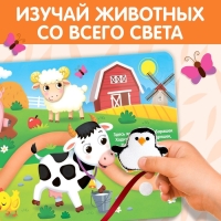 Книжка с липучками и игрушкой «Путешествие вокруг света», 12 стр.