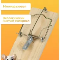 Крысоловка, 6&times;12 см, деревянная, Greengo