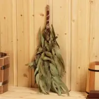 Веник для бани эвкалиптовый, в пакете