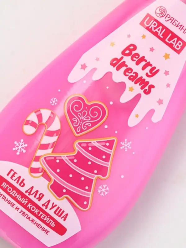 Подарочный набор новогодний: гель для душа 200 мл и бомбочки для ванны 4 шт х 40 г, URAL LAB